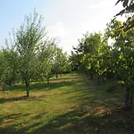 Maison Magdala 3*