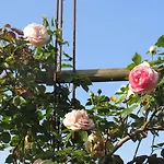 Maison Magdala Bed & Breakfast 3*