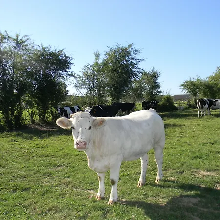 Maison Magdala 3* Fourmies