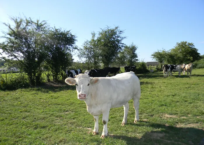 Maison Magdala 3* Fourmies