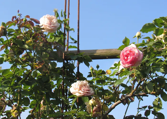 Maison Magdala Bed & Breakfast 3*